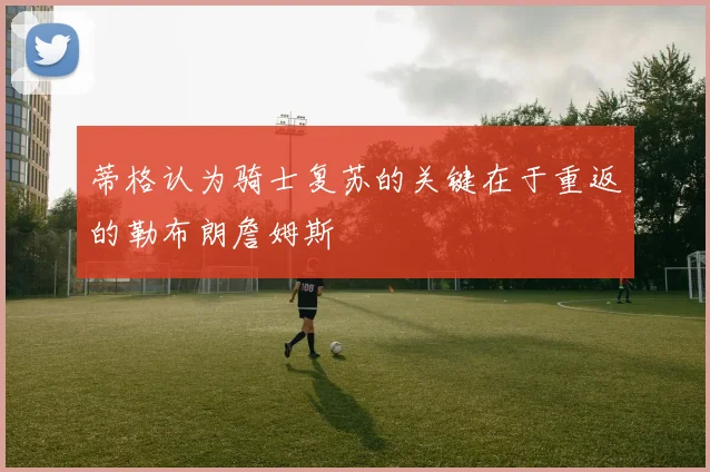 蒂格认为骑士复苏的关键在于重返的勒布朗詹姆斯