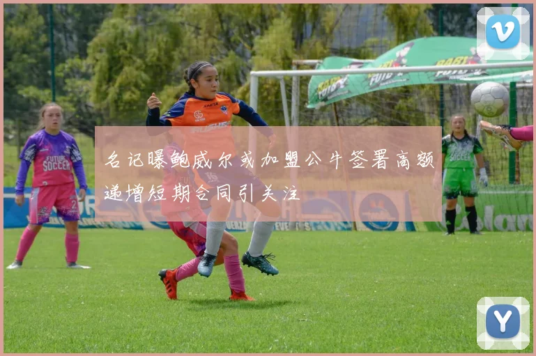 名记曝鲍威尔或加盟公牛签署高额递增短期合同引关注