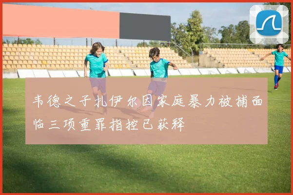 韦德之子扎伊尔因家庭暴力被捕面临三项重罪指控已获释